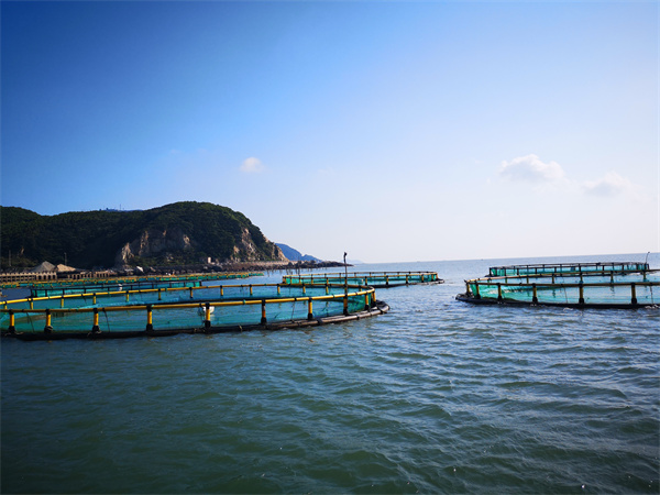 浙江温州52米