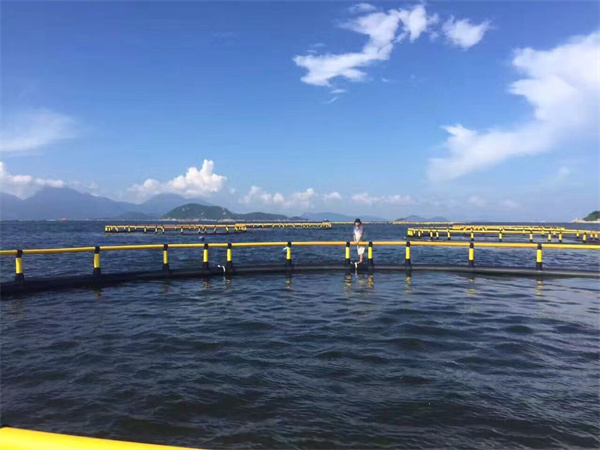 简易圆形网箱
